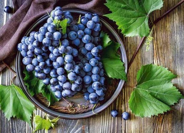 Manfaat Anggur Hitam Untuk Kesehatan
